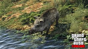 GTA 5 Online boar location (2025)