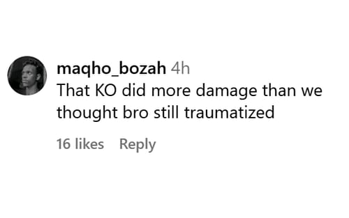 Fan's comment [Screenshot courtesy: @homeoffight on Instagram]