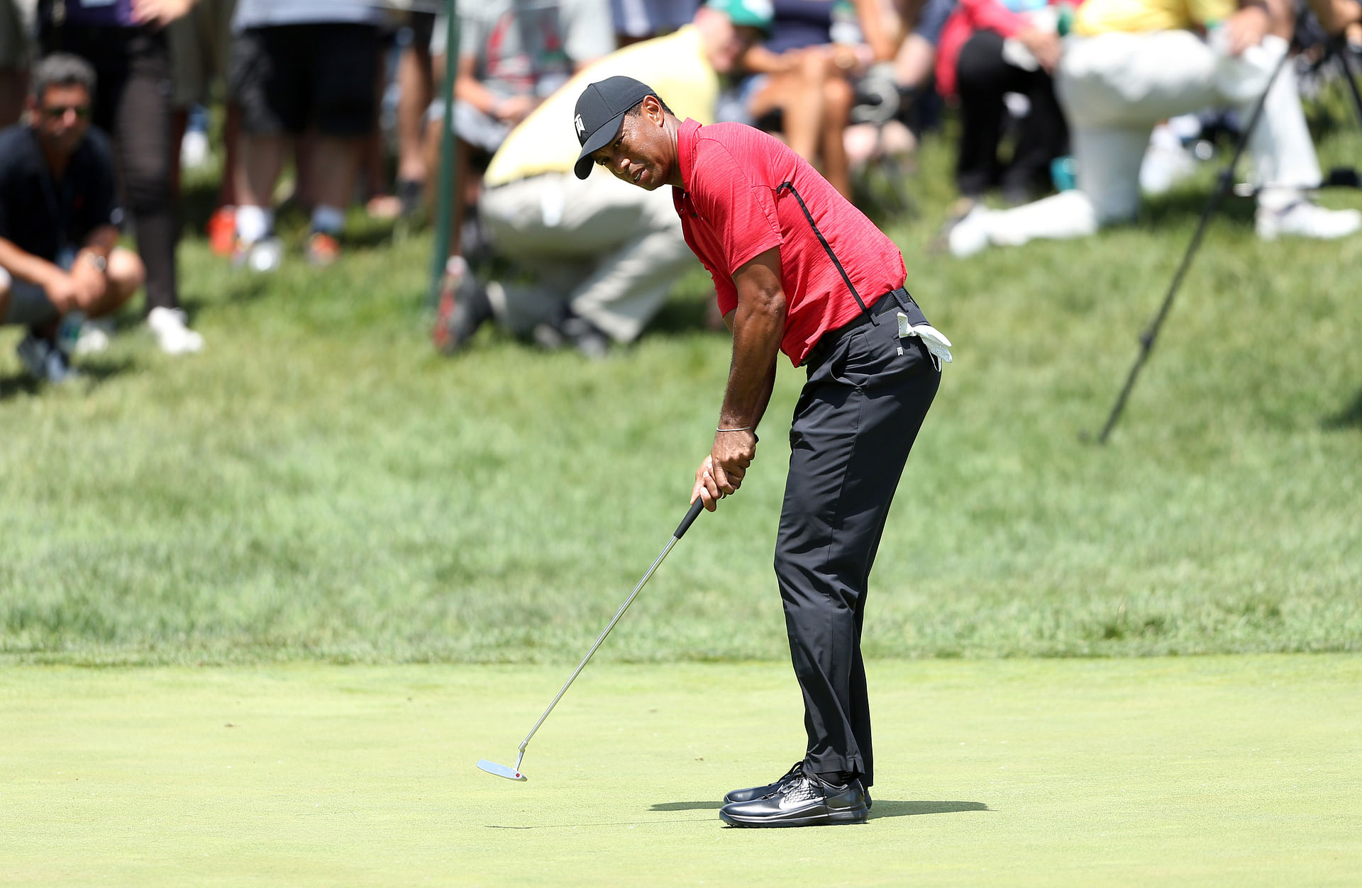 Tiger Woods at The Memorial Tournament - Source: Imagn
