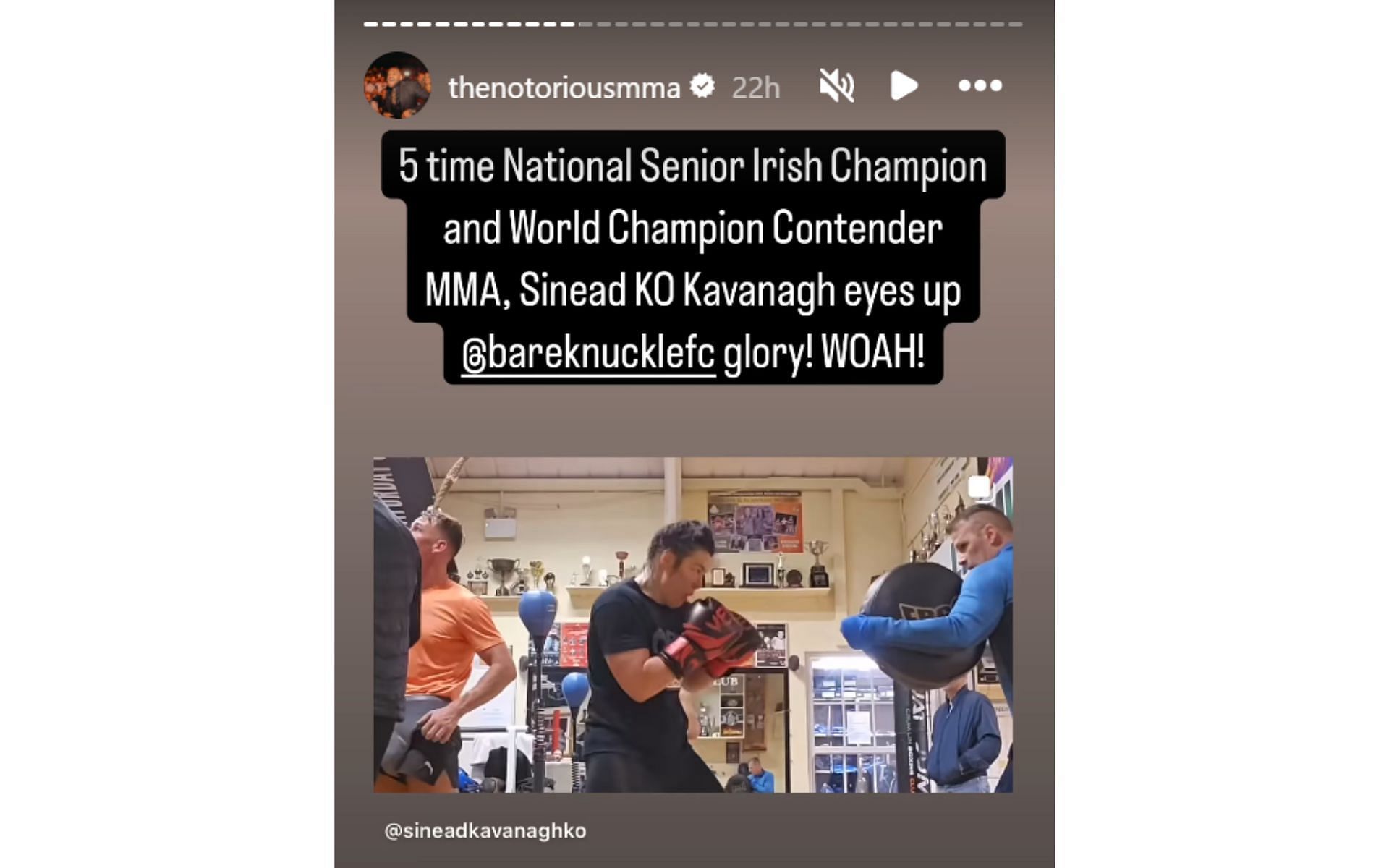 McGregor&#039;s Instagram story. [Screenshot courtesy: @thenotoriousmma on Instagram]