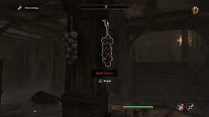 How to find garlic in Oblivion Remastered