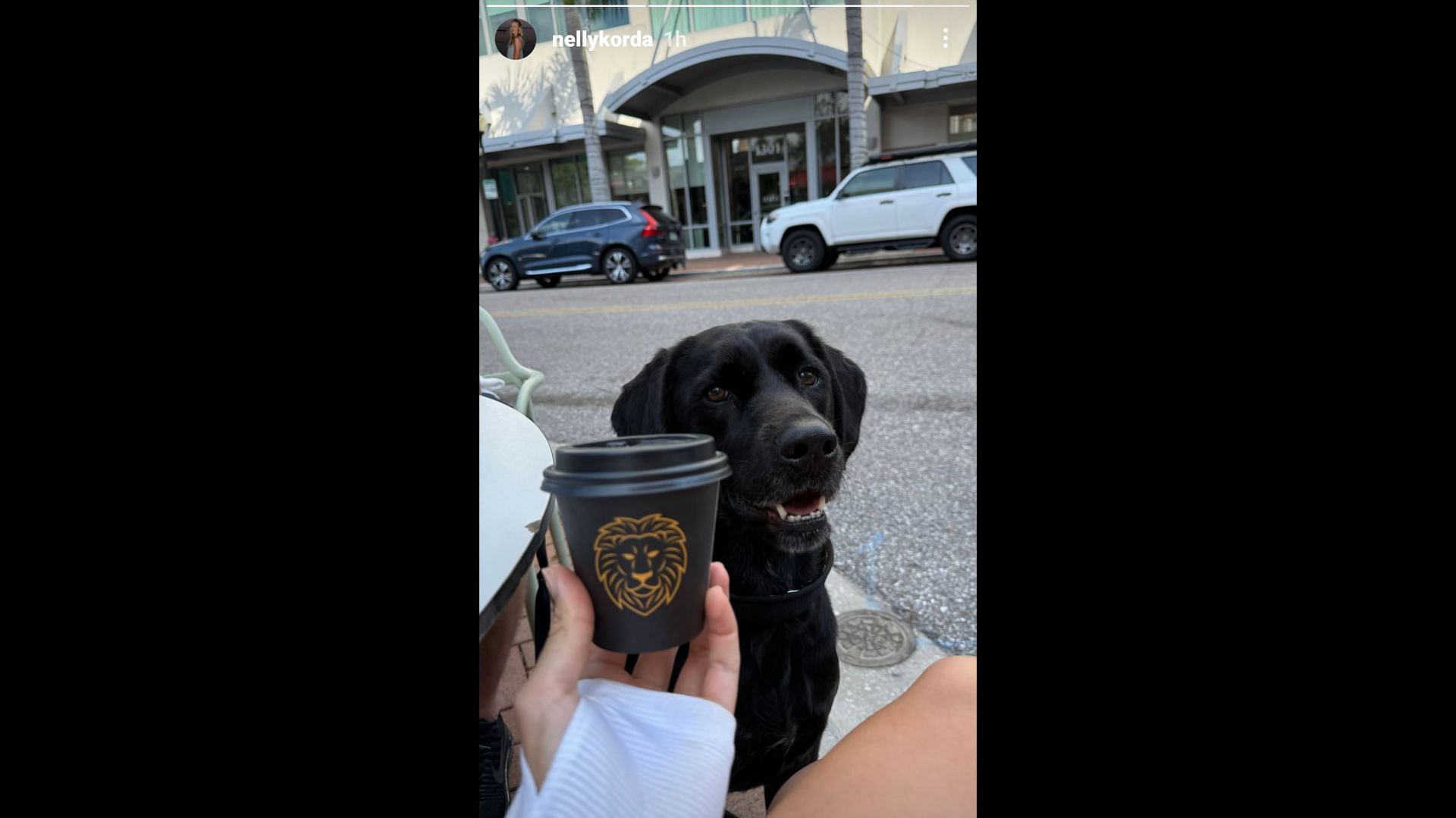 Screenshot from Korda&#039;s Instagram story/IG: @nellykorda