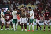 Palmeiras vs Flamengo Prediction and Betting Tips | May 25th 2025
