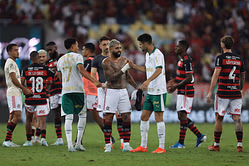 Palmeiras vs Flamengo Prediction and Betting Tips | May 25th 2025