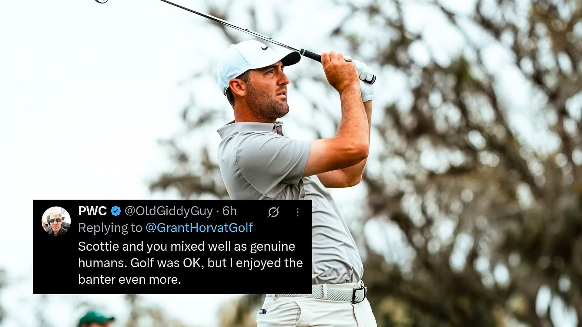 Fans react to Scheffler