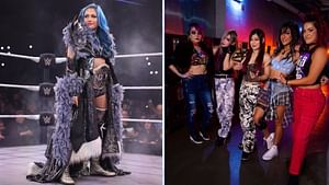 4 released WWE Superstars and who could replace them in factions