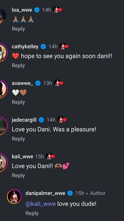 Screengrab of the comments section. [Source: Dani Palmer's IG]