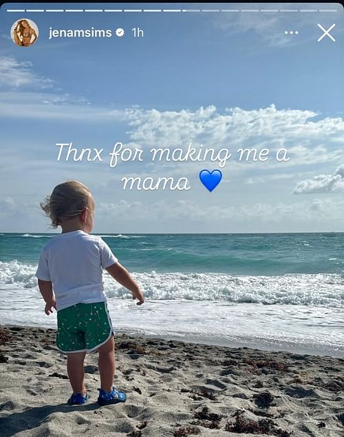 Jena Sims's Instagram story
