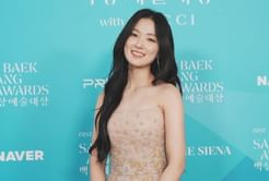 Top 5 best looks from 2025 Baeksang Awards red carpet