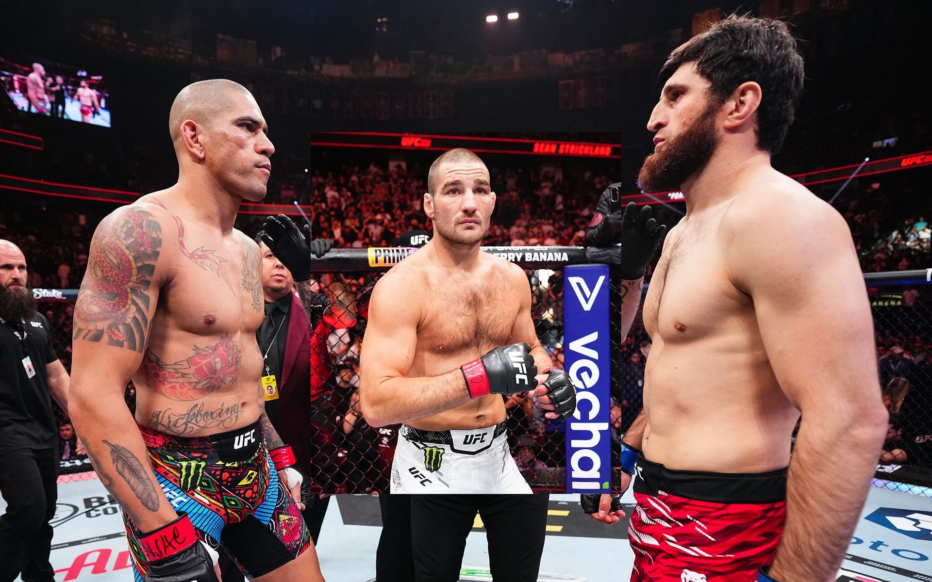 Sean Strickland previews a potential rematch between Alex Pereira and Magomed Ankalaev. [Images courtesy: Getty]