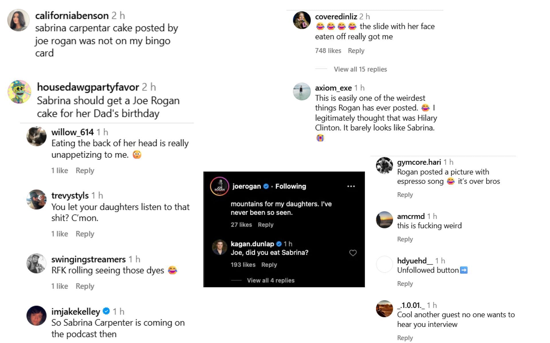 Fans react to Joe Rogan&#039;s daughter&#039;s Sabrina Carpenter-themed birthday cake. [Screenshots courtesy: @joerogan on Instagram]