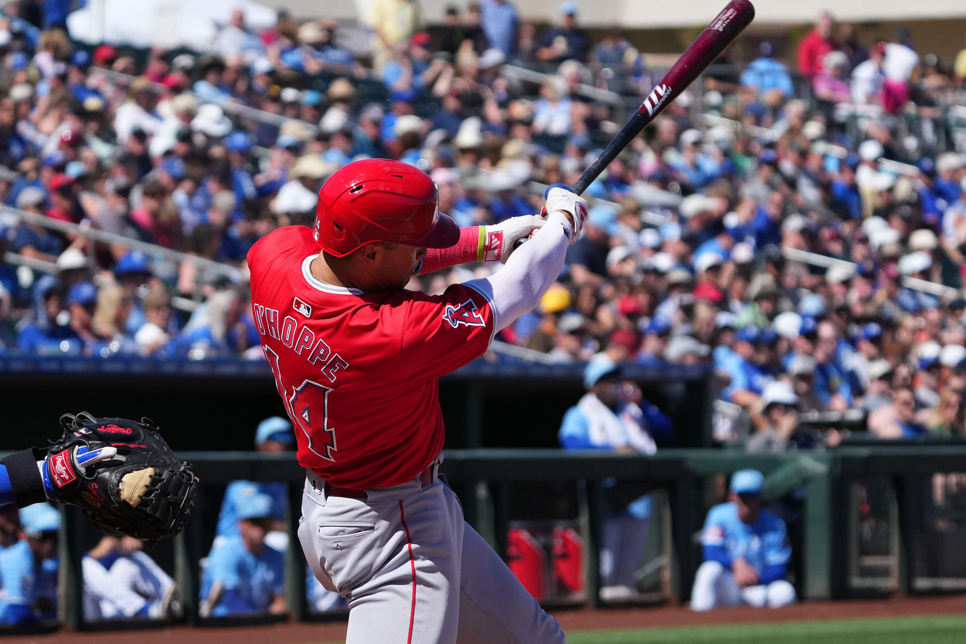 MLB: Spring Training-Los Angeles Angels at Kansas City Royals - Source: Imagn