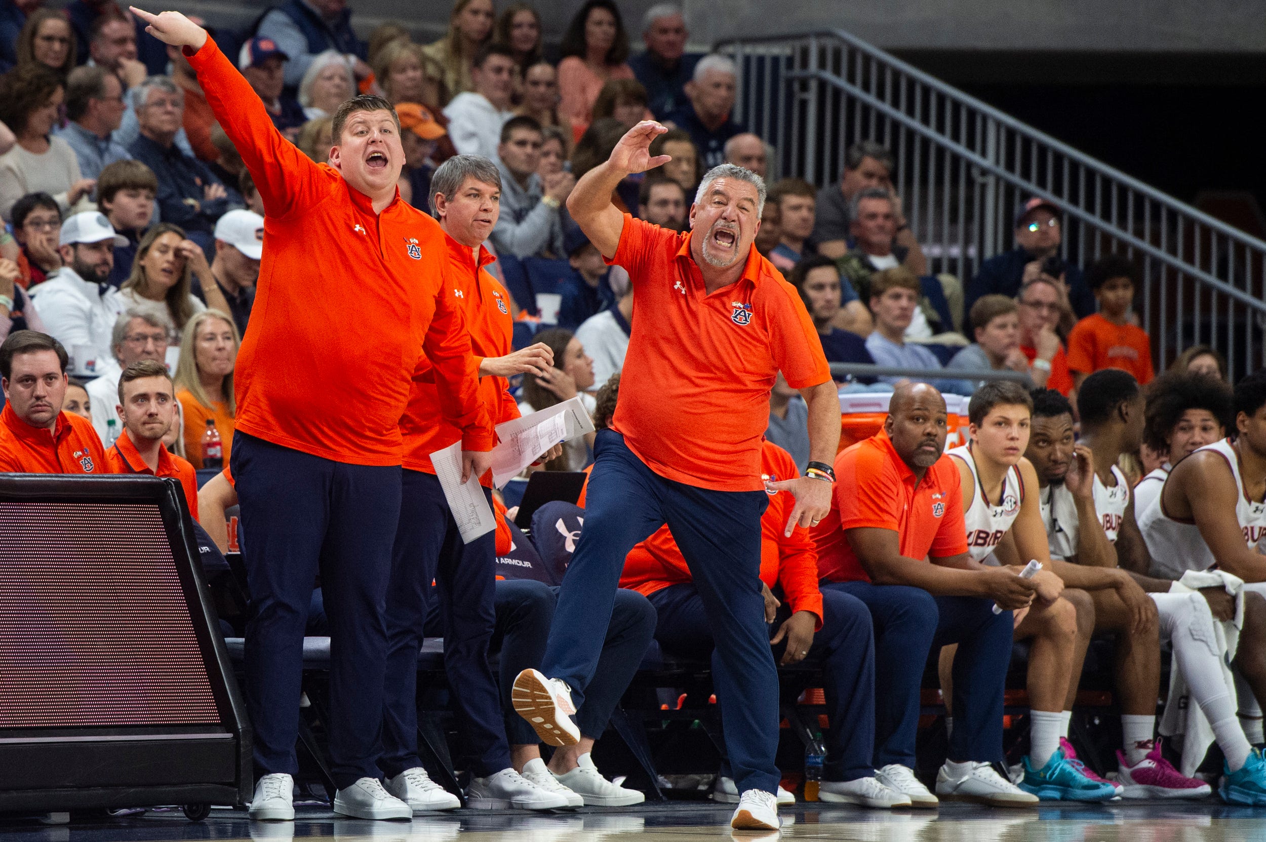 Fans react as Bruce Pearl's assistant coach shares dreamy wedding snaps: "Obsessed with you two"