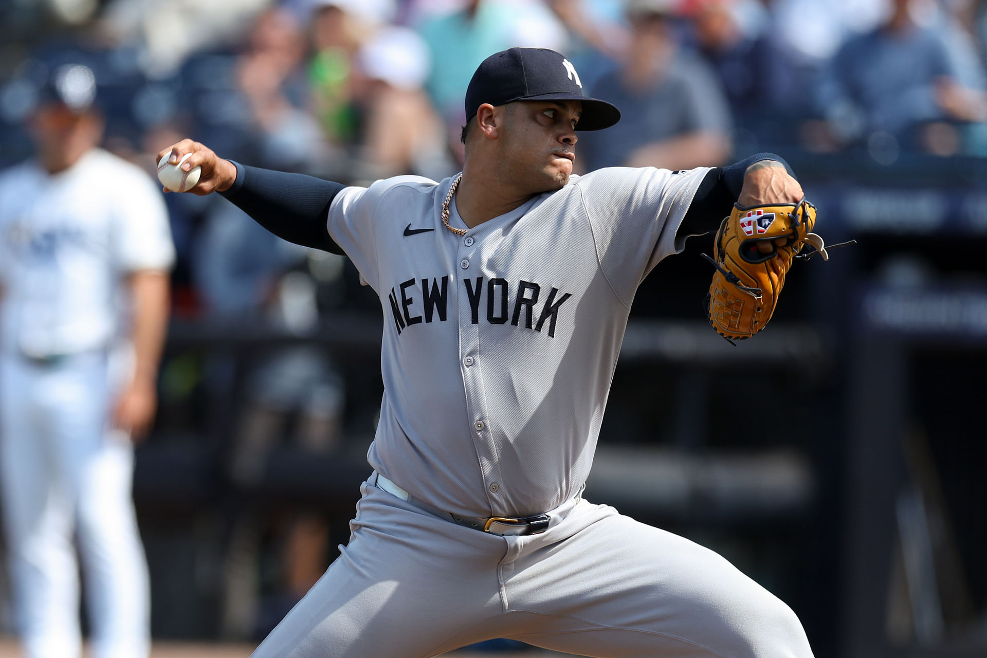 MLB: New York Yankees at Tampa Bay Rays - Source: Imagn