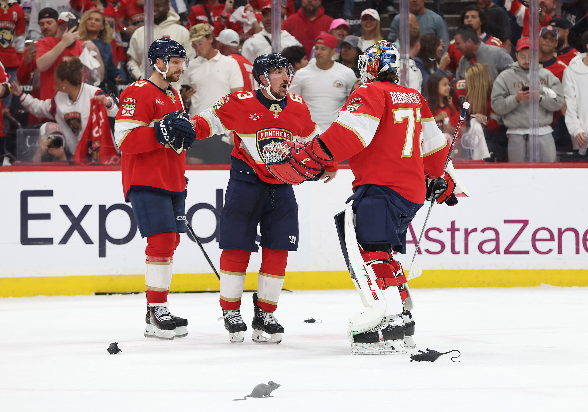 NHL: Stanley Cup Playoffs-Toronto Maple Leafs at Florida Panthers - Source: Imagn