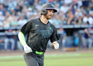 Brandon Lowe might go yard tonight- Source: Imagn