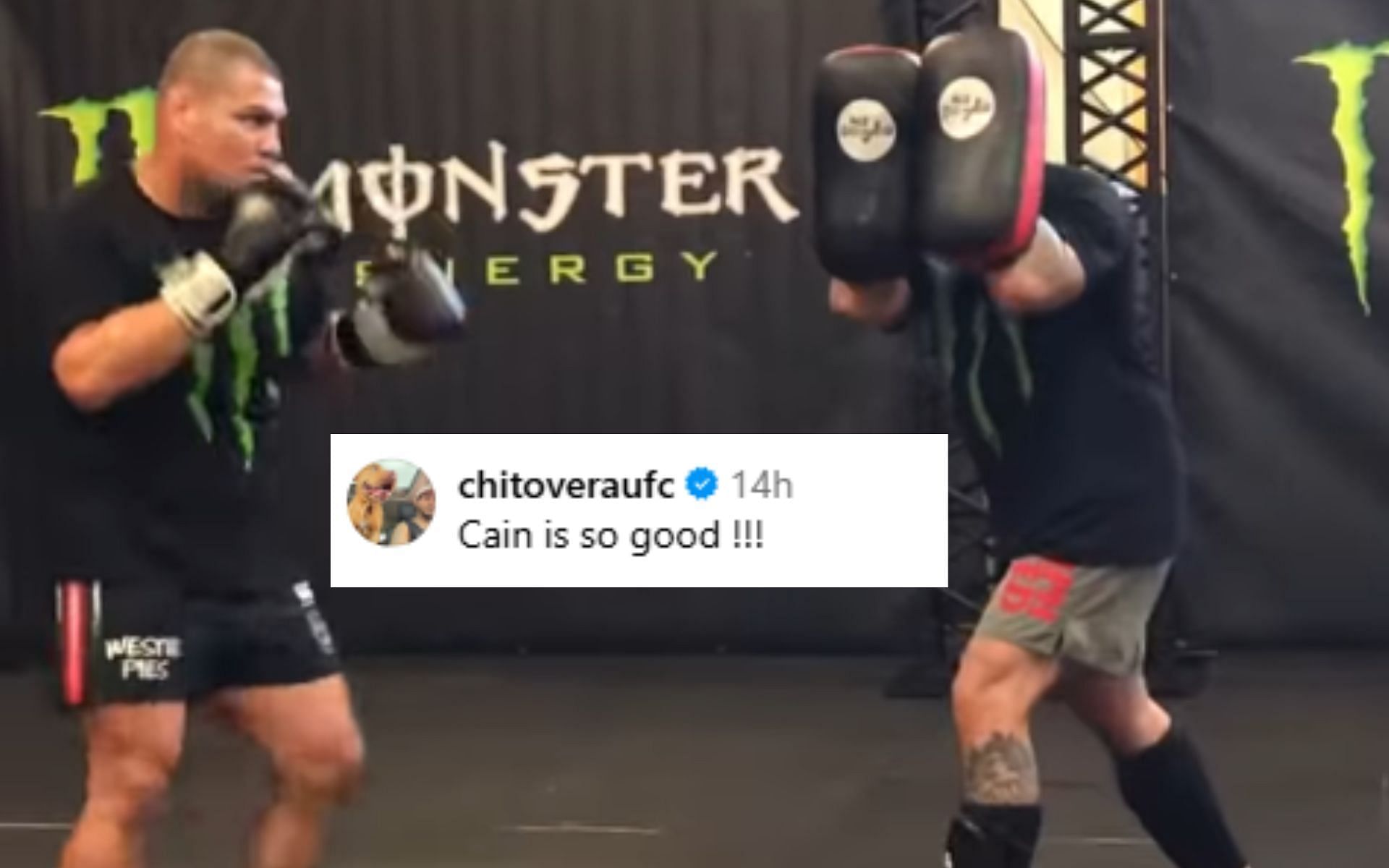 Cain Velasquez