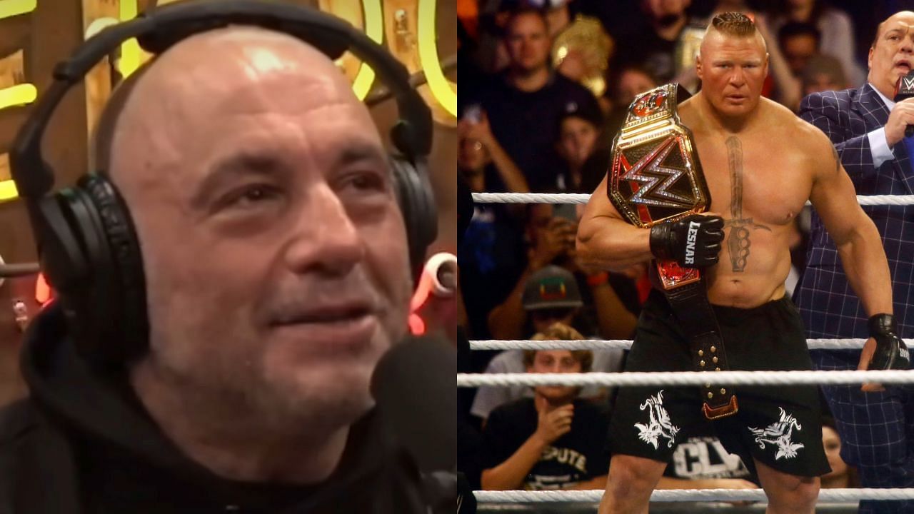 Joe Rogan 