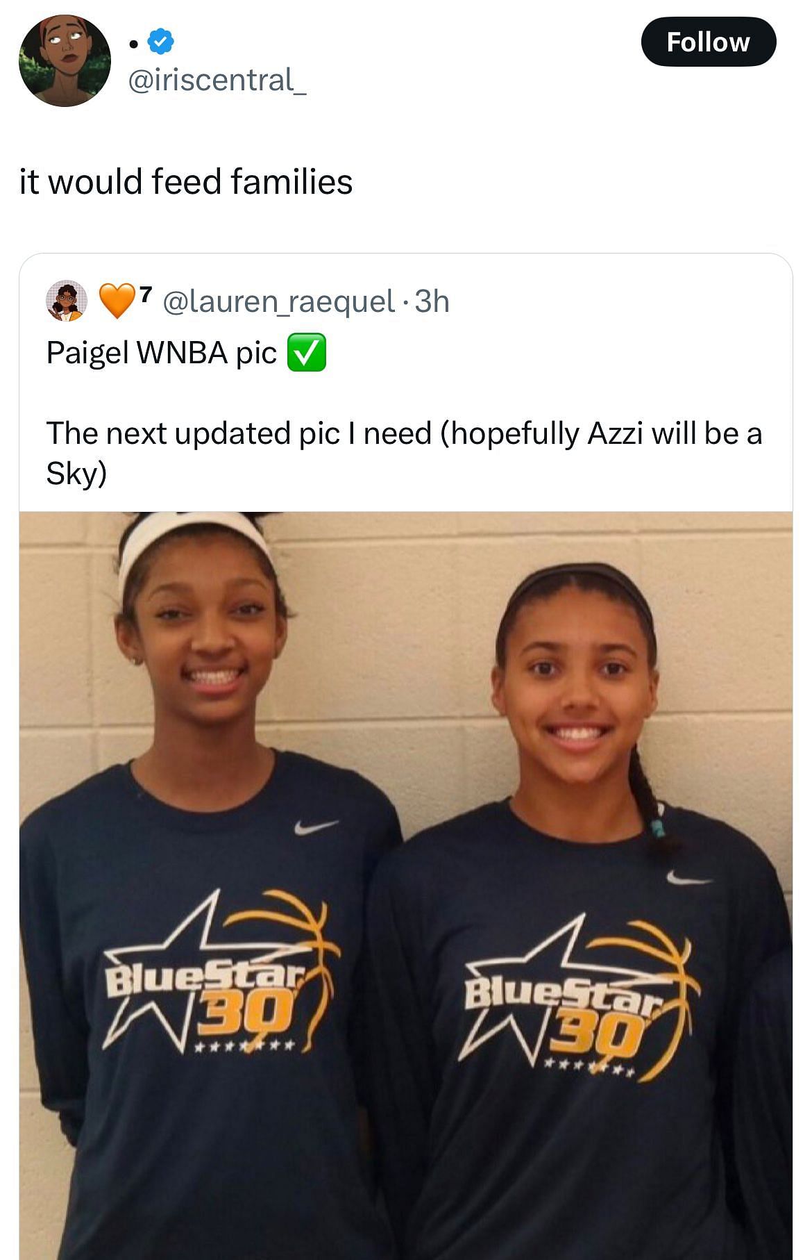 A reply says Fudd and Reese playing together would &ldquo;feed families&rdquo; (image credit: instagram/wnbagotgame)