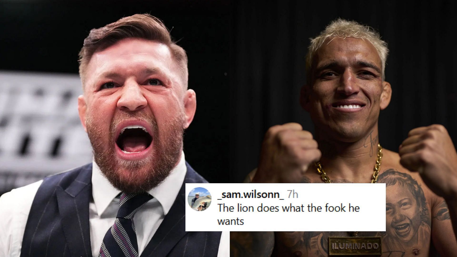A fan has compared lion in Conor McGregor