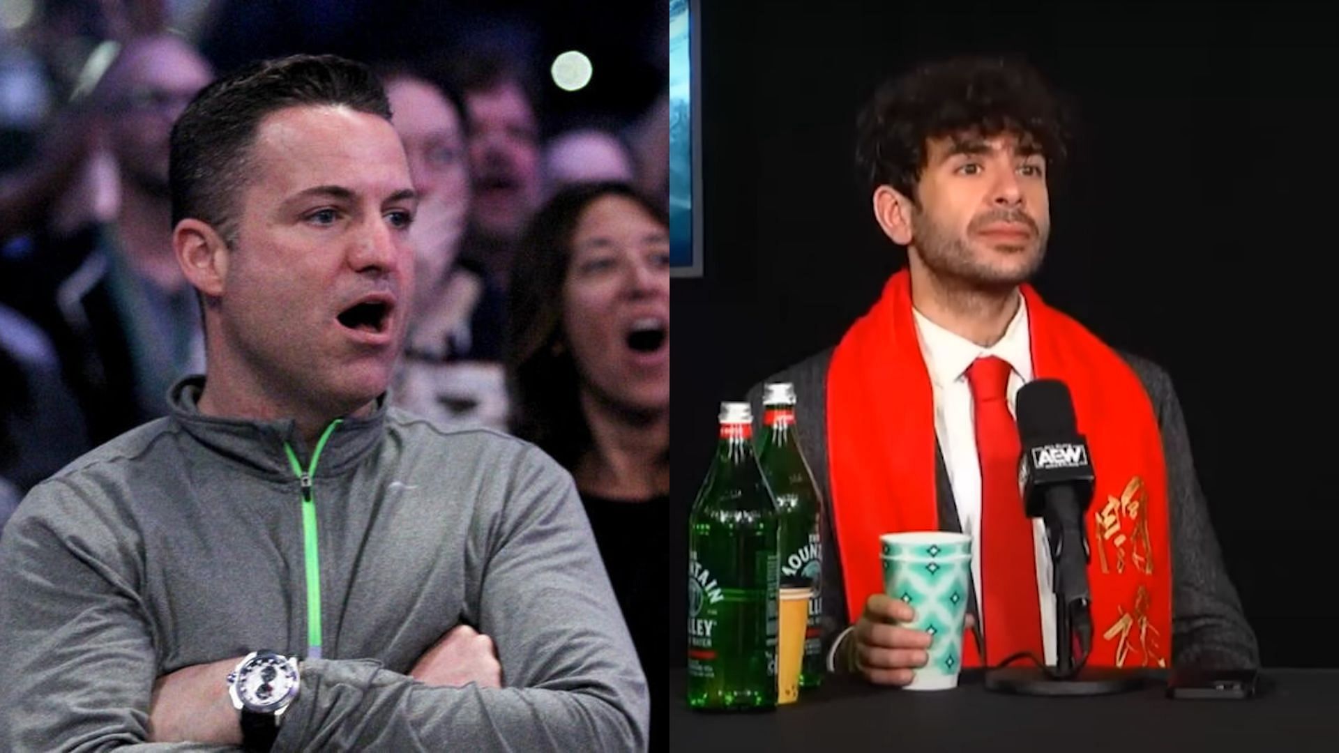 Wrestling fans (left) and AEW president Tony Khan (right). (Image credits: wwe.com &amp; AEW YouTube channel)