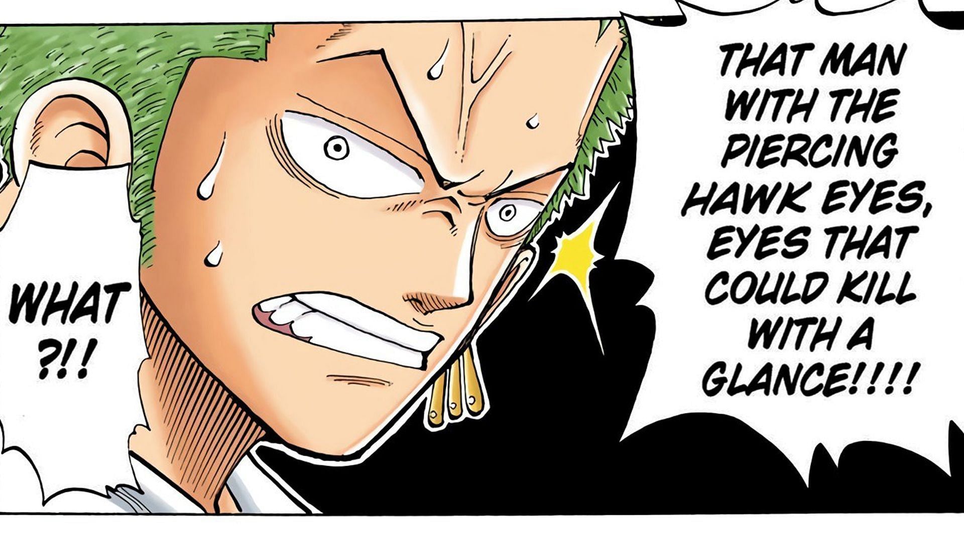 The first mention of Mihawk&#039;s eyes in One Piece (Image via Shueisha)
