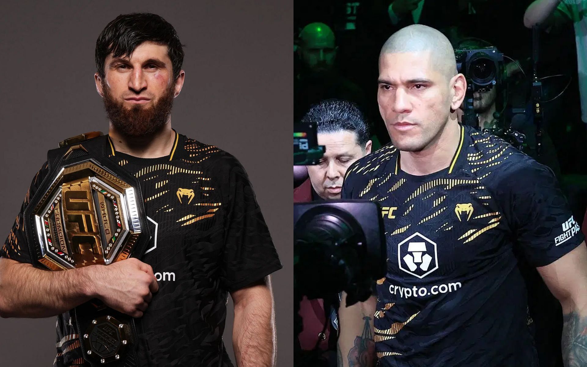 Magomed Ankalaev
