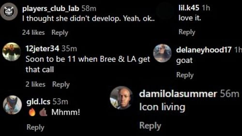 Image via the comments of the Instagram post.