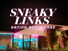 Sneaky Links: Dating After Dark: Release date, trailer, and more explored