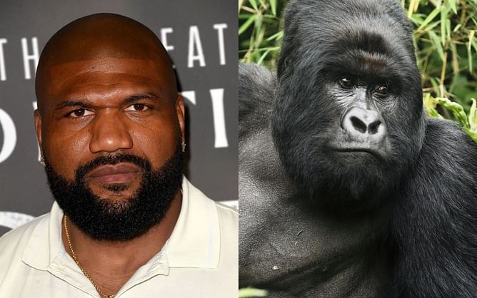 Ariel Helwani gets roasted as Quinton 'Rampage' Jackson joins absurd 100 UFC fighters vs. 1 gorilla debate