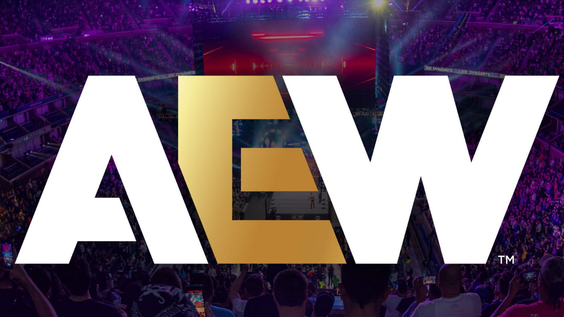 AEW is parting ways with one of its long-time tag team performers [Image Credits: AEW