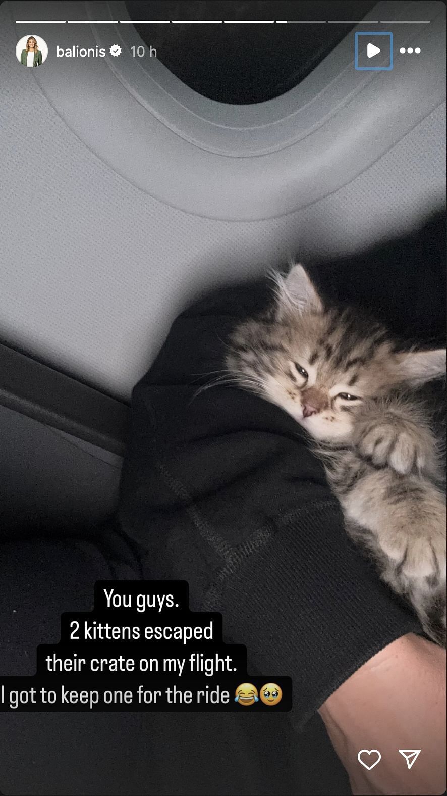 Balionis shares the picture of the kitten that she had during the entire journey. Image via Instagram @balionis