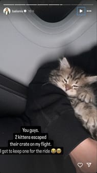 Balionis shares the picture of the kitten that she had during the entire journey. Image via Instagram @balionis