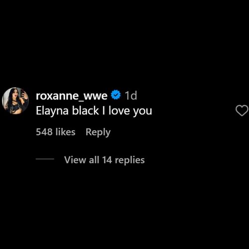 Roxanne Perez sends a message to Elayna Black (Picture credit: Elayna's Instagram post)