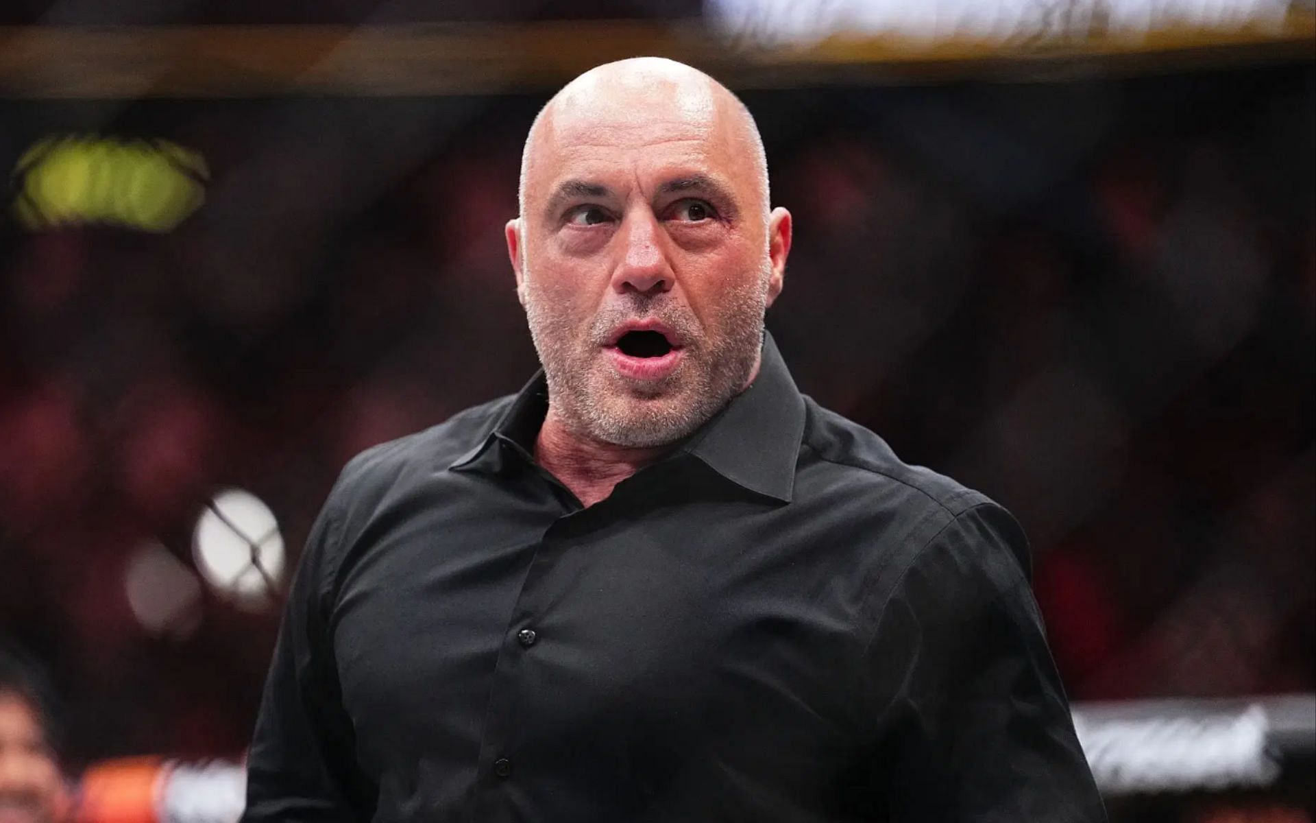 Joe Rogan talks about Blitzed by Norman Ohler. [Image courtesy: Getty]