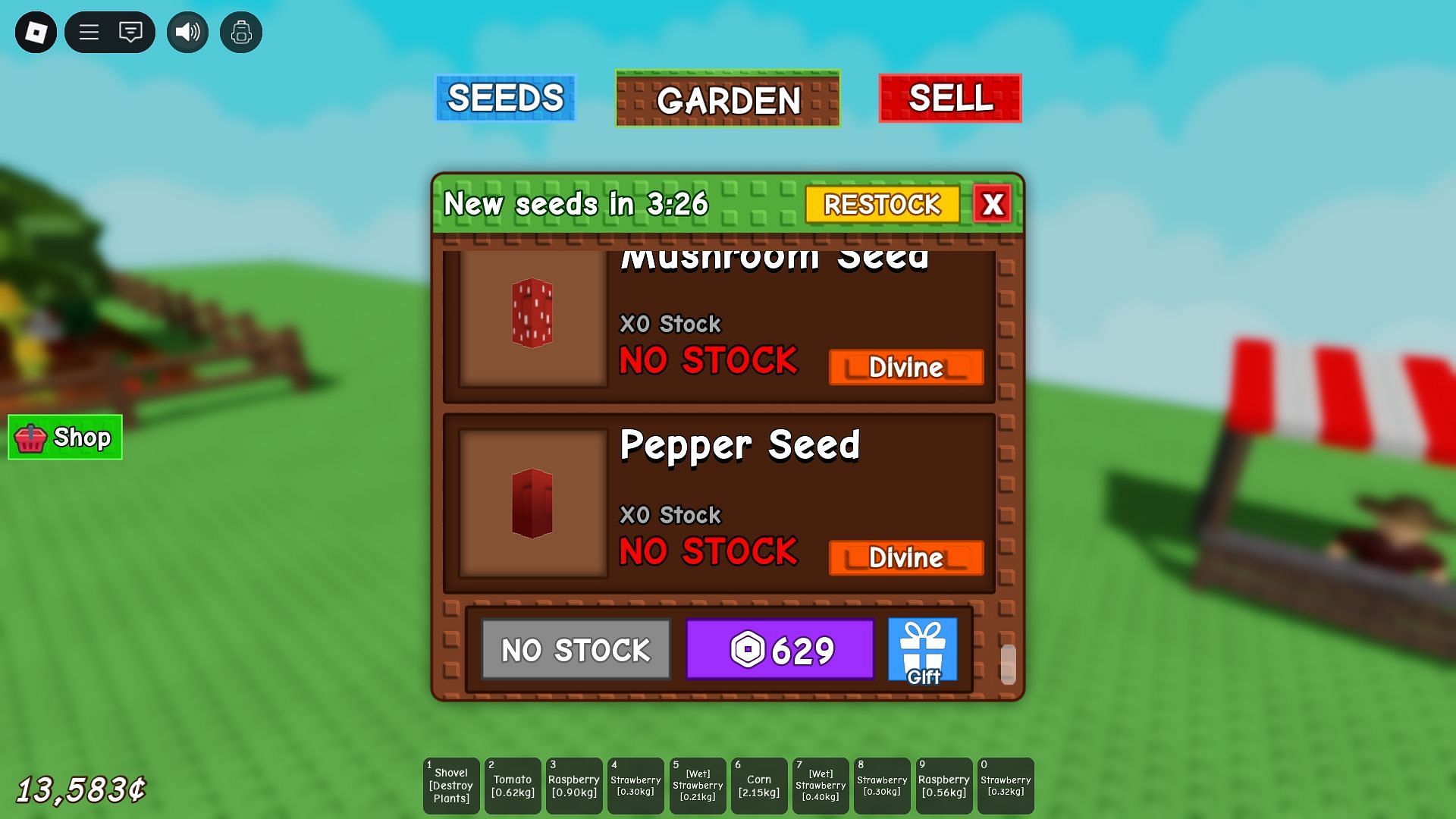 Pepper seeds in the seed store (image via robox)