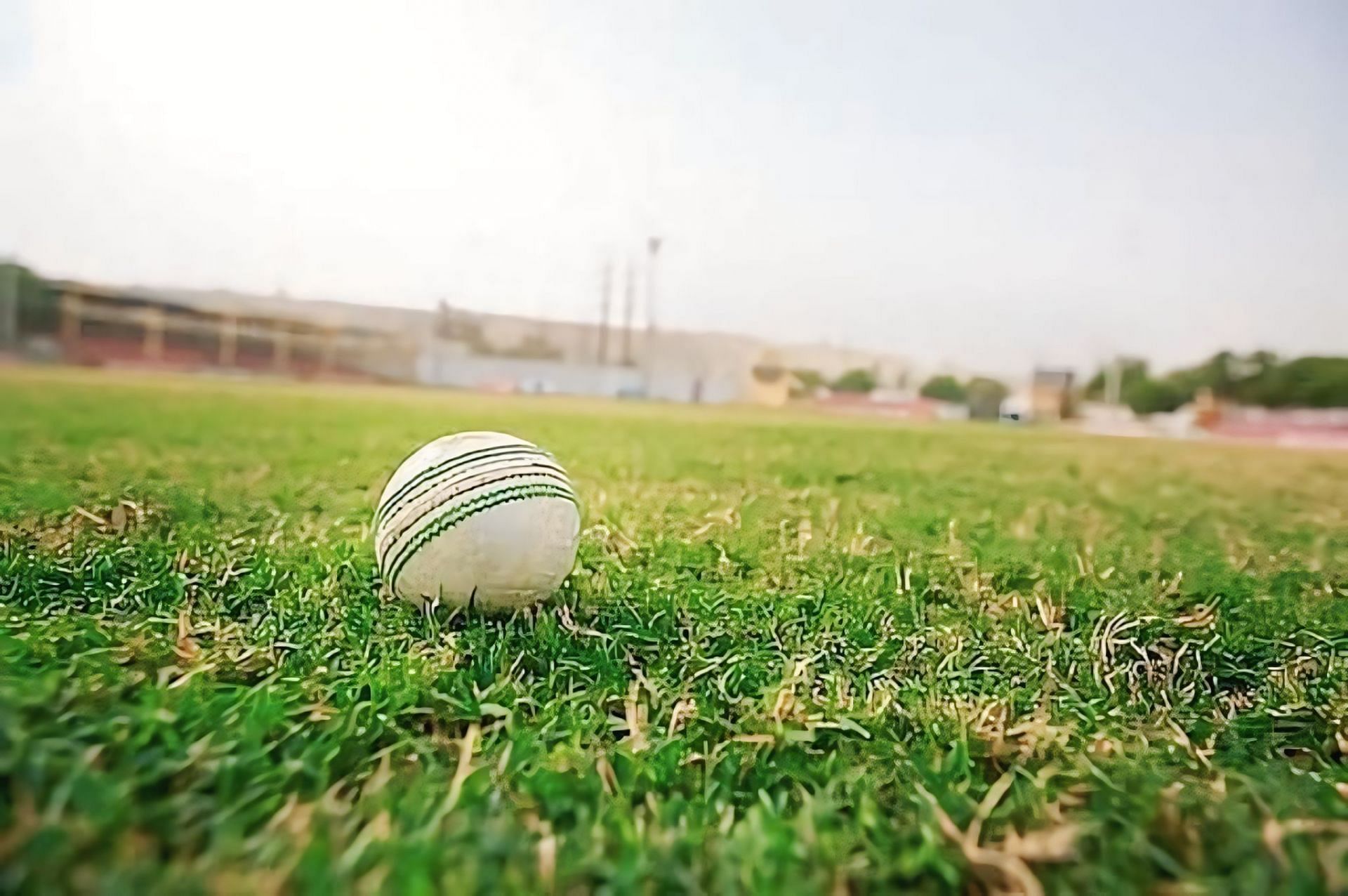 Saffron Strikers vs Clove Challengers Dream11 Prediction