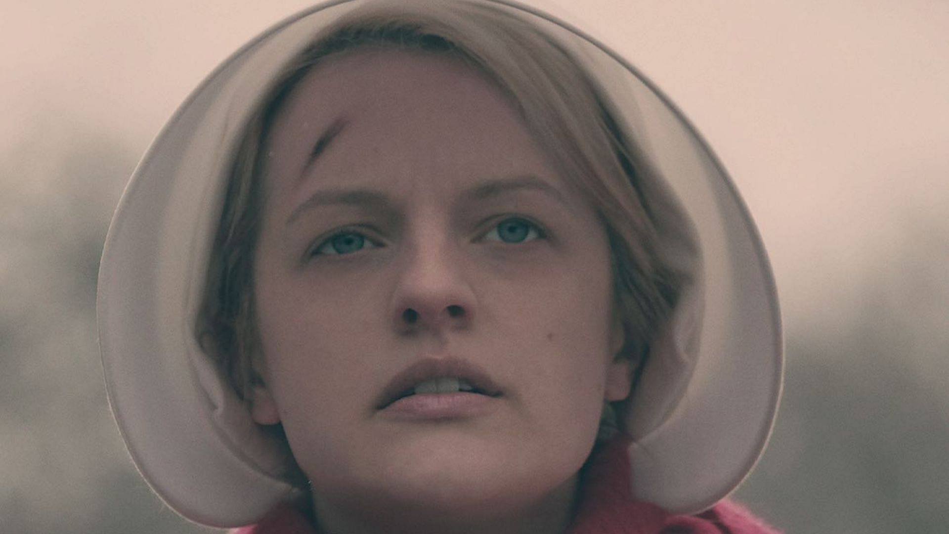 The Handmaid