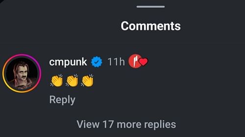 Screengrab of Punk's comment on Instagram