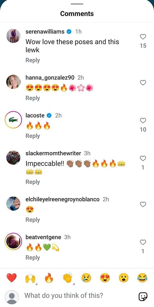 Serena Williams' comment on sister Venus' Instagram post featuring her tenniscore-inspired look at the 2025 Met Gala (Source: Instagram/venuswilliams)