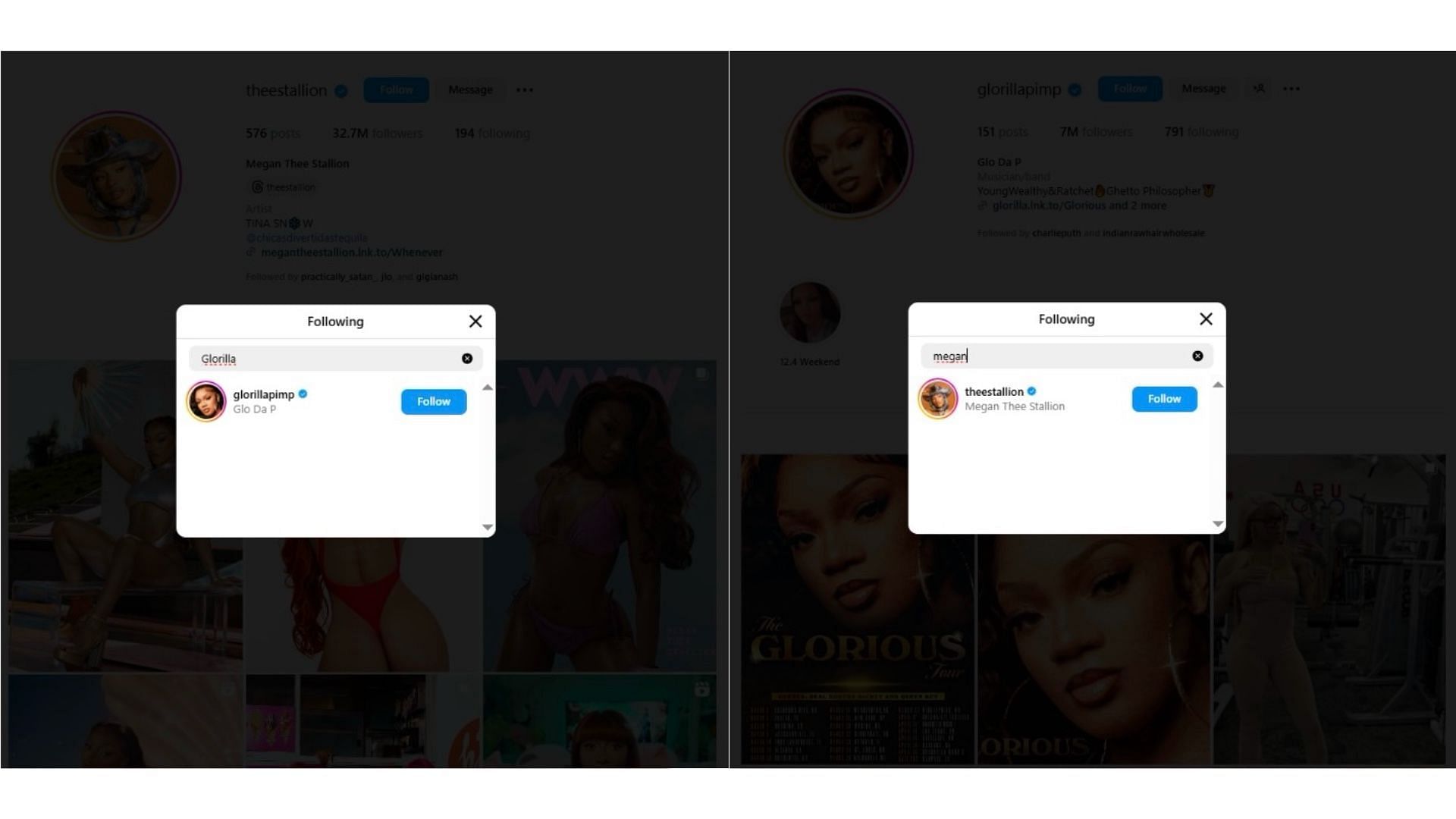 Meg and GloRilla follow each other on Instagram (Image via Instagram/@glorillapimp, @theestallion)