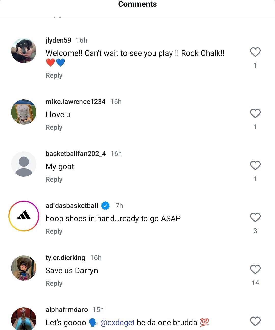 Fan&#039;s comments on IG (IG/kuhoops)