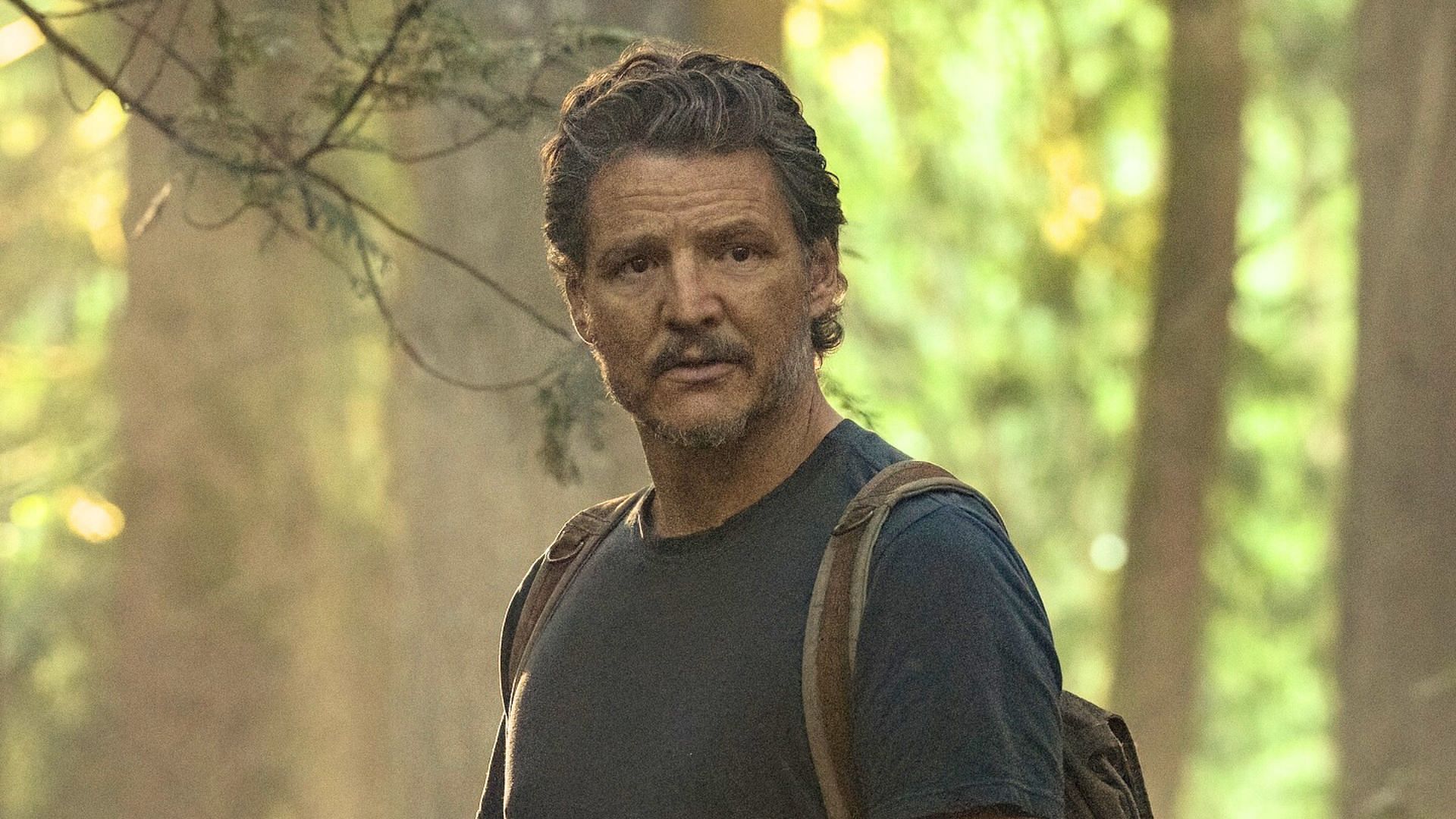 The Last of Us season 3