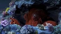 Octopus!: Release date, plot and everything we know so far about Prime Video's upcoming documentary