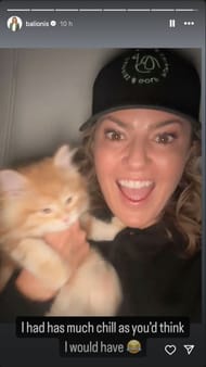 Amanda Blionis shares a boomerang video with another kitten. Image via Instagram @balionis