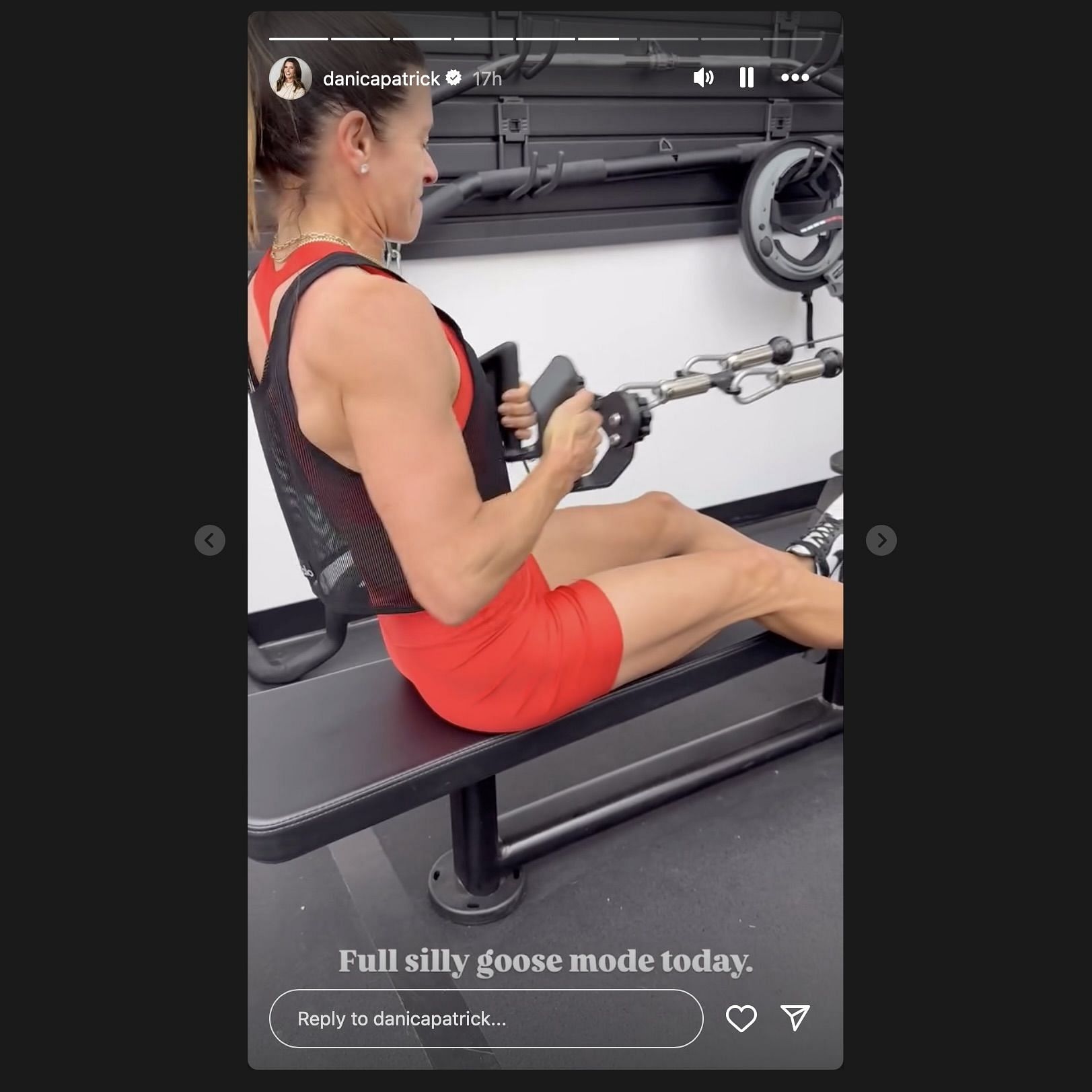 Screen grab from Danica Patrick&#039;s Instagram story [via Instagram/danicapatrick]