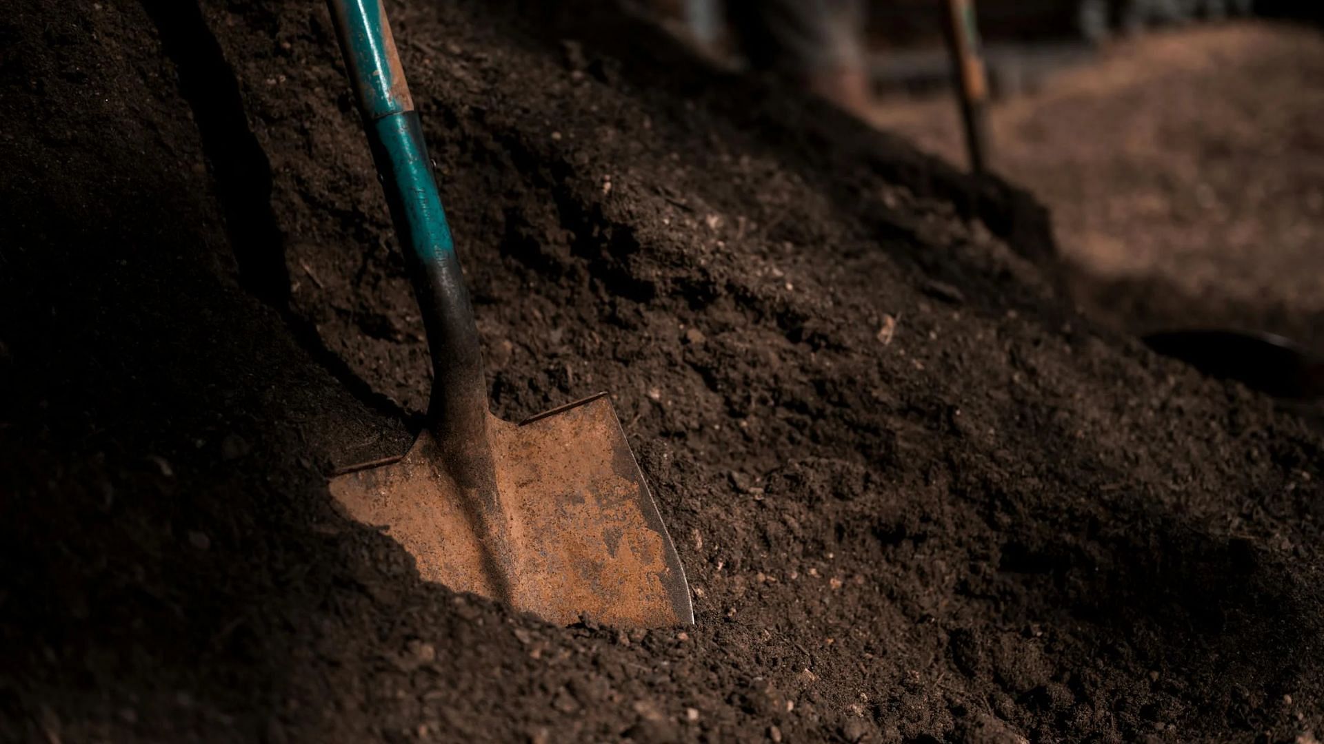 Debbie Dicus was attacked in a Hampton community garden. (Image via Pexels)