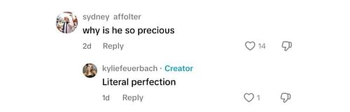 Iowa's Sydney Affolter reacts to teammate Kylie Feuerbach's adorable interaction with her pup - Image source: TikTok/kyliefeuerbach