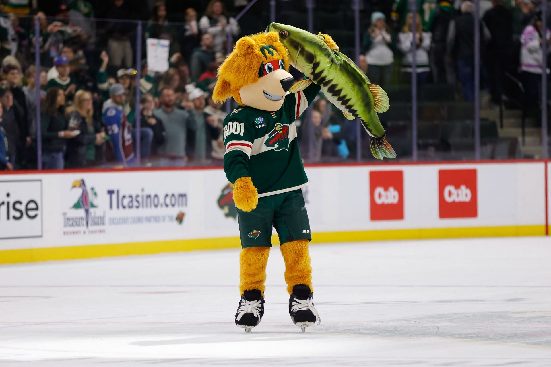 NHL: MAR 11 Avalanche at Wild