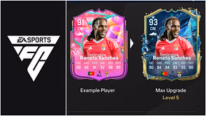 EA FC 25 Tea and Biscuits Evolution: Best players to use, all upgrades, requirements, and more